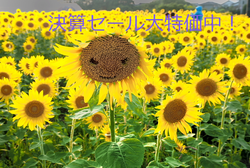 `決算セールの為大特価