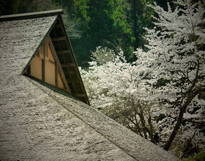 春麗のいずもナンキン その２　3歳～5歳